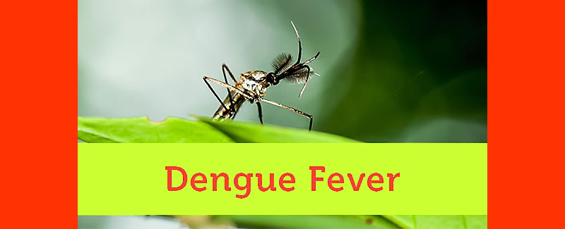 Role of Anti-Miasmatic or Intercurrent Remedy In Dengue Shock Syndrome